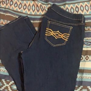 Torrid Plus Size Dark Wash Denim